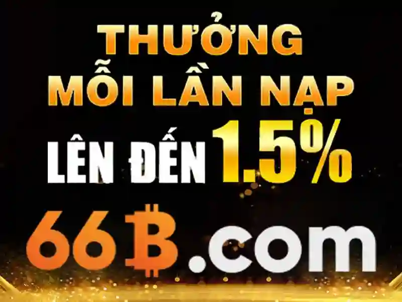 66b. – Trải nghiệm và đánh giá 66b trong công nghệ và cộng đồng