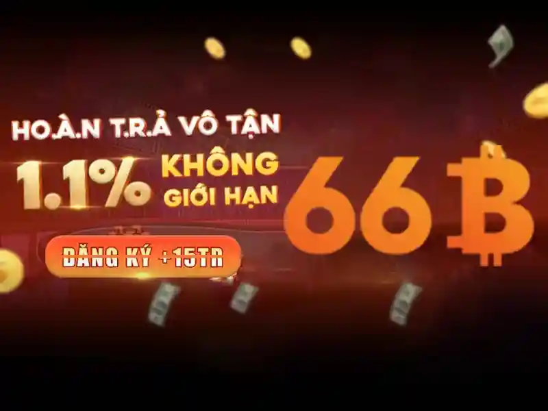 66B: một khái niệm và ảnh hưởng