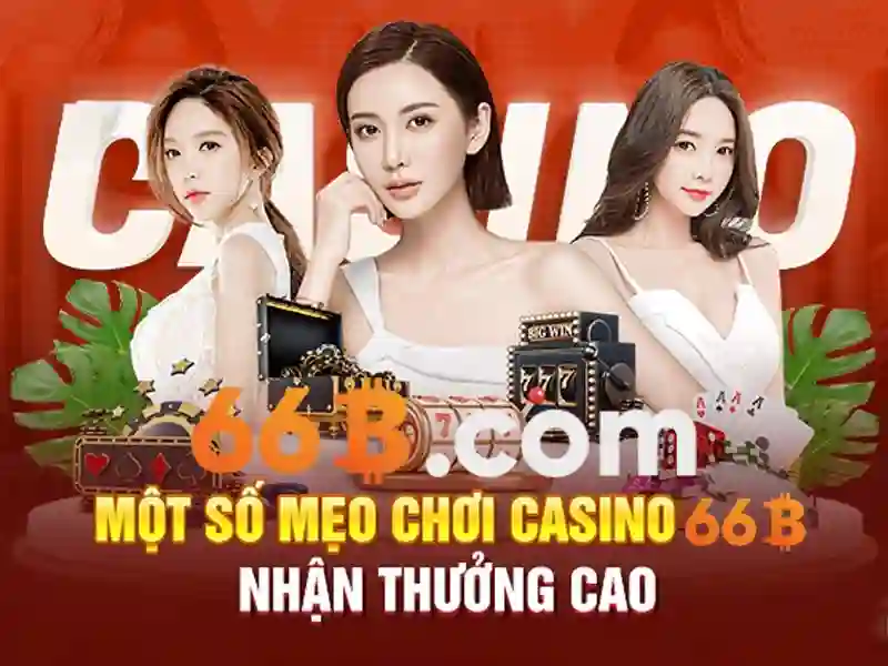 k9 66b: hành trình thương hiệu và ứng dụng 64/66b