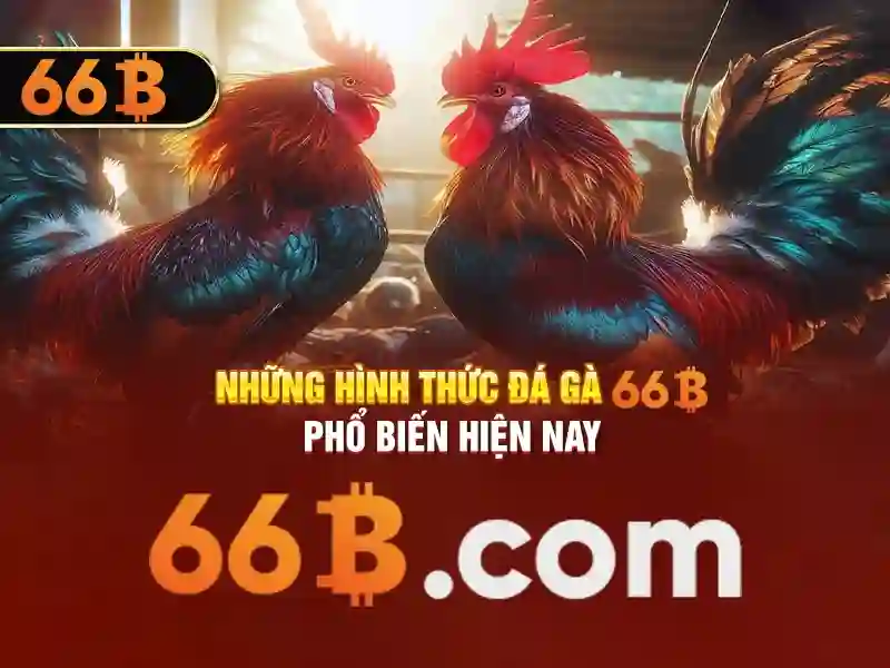 66b. com – Tóm tắt chủ đề và giá trị cốt lõi