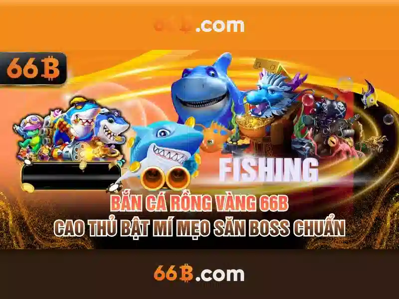 Khái niệm 66B và tiềm năng ứng dụng