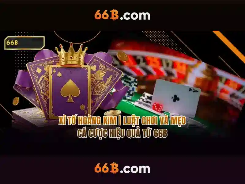 66b: Một khái niệm và sự ảnh hưởng