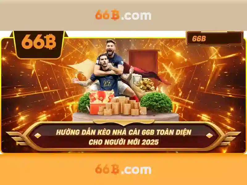 66b: Khái quát và ý nghĩa