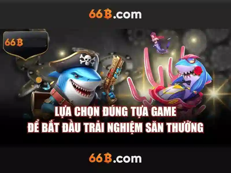 66b: Khái niệm và phạm vi của mô hình