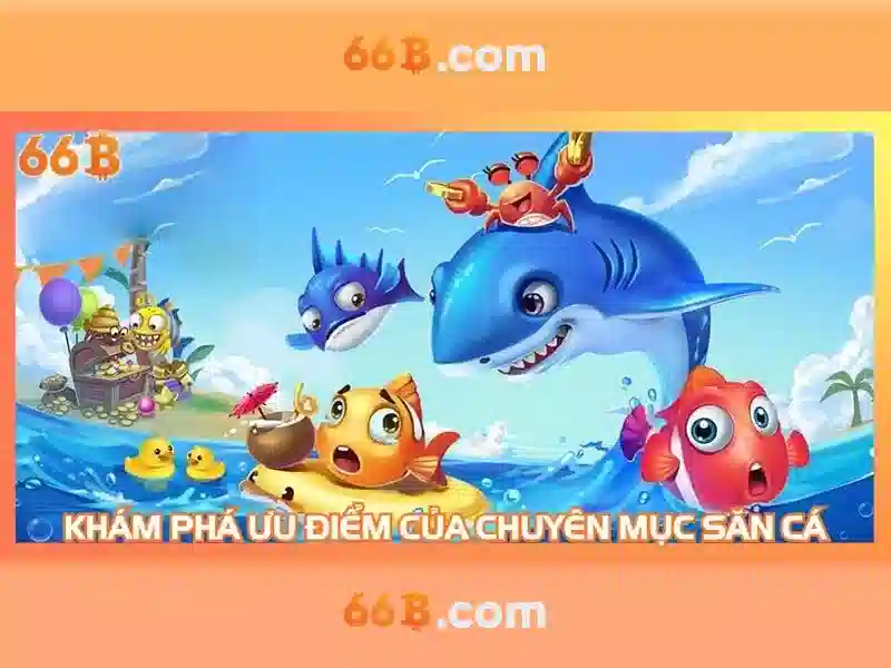 66b và những khía cạnh bạn cần biết