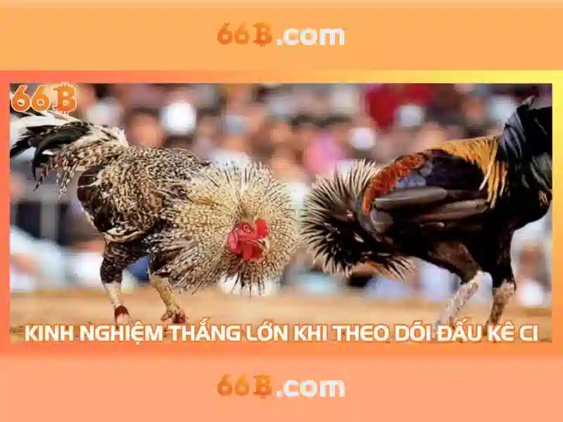 66B: Mô hình ngôn ngữ lớn với 66 tỉ tham số