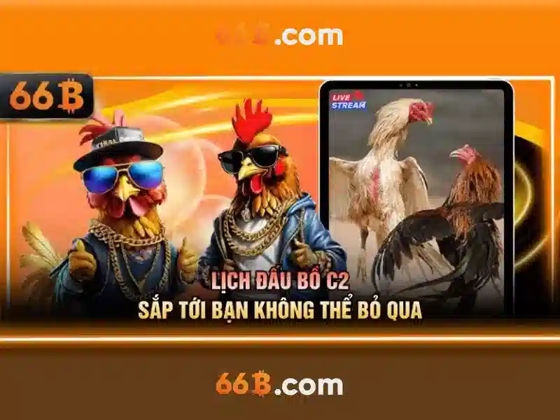 66b nguyễn sĩ sách p15, q tân bình – Thương hiệu và hành trình