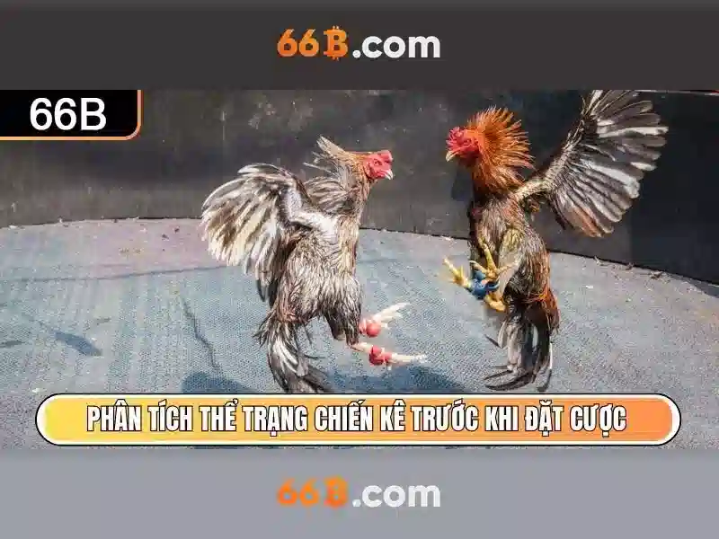 66b trong công nghệ hiện đại