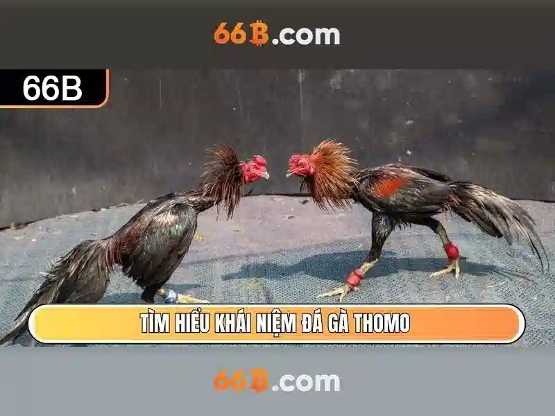 Mô hình 66 tỷ tham số: khái niệm và bối cảnh