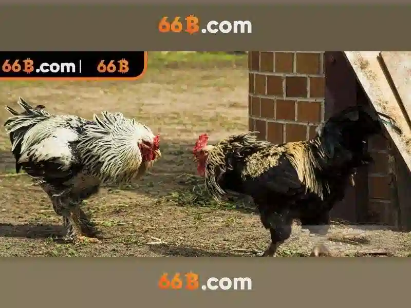 66b hạ long – Trải nghiệm và đánh giá chi tiết