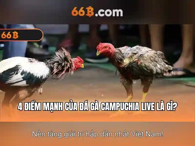 66b: Mô hình ngôn ngữ 66 tỷ tham số và tác động