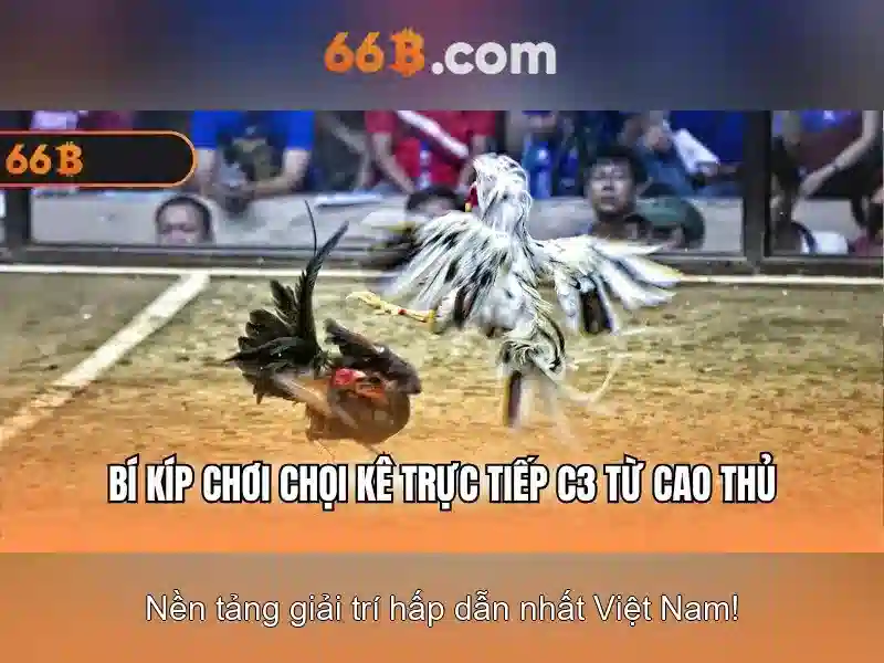 66b trong thập kỷ số: khái niệm và ứng dụng