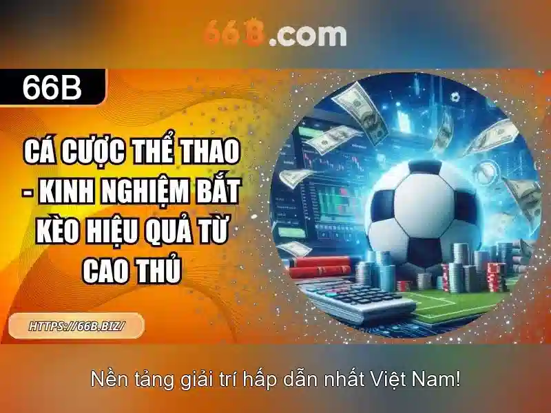 66b: khái niệm, ứng dụng và ý nghĩa