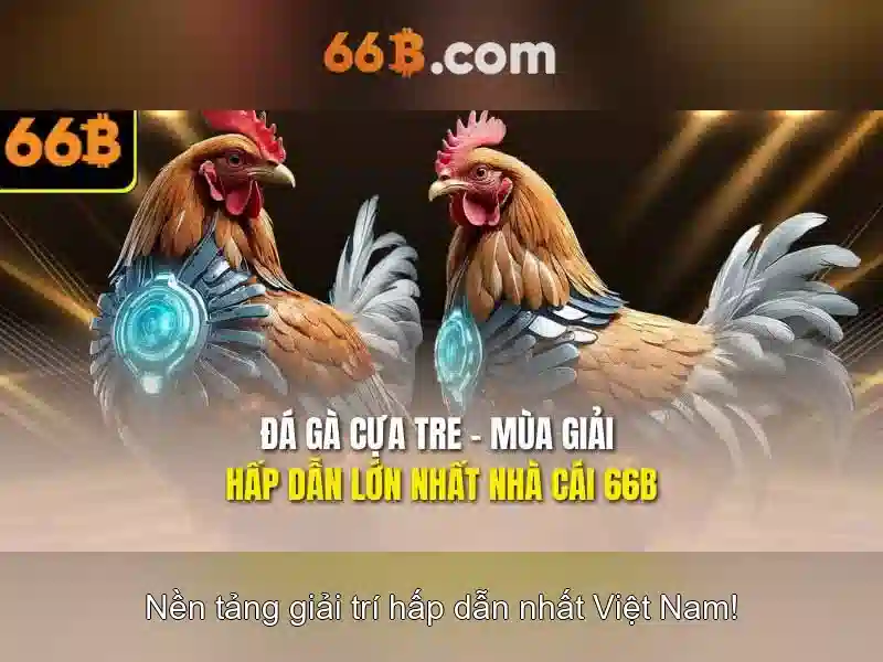 66b là gì và những tiềm năng của nó