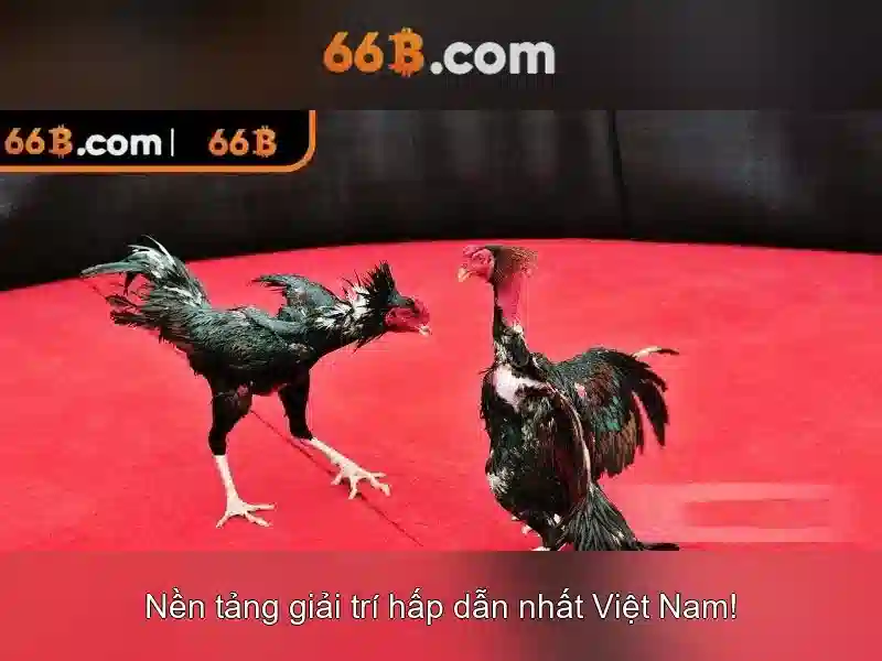 66B: Mot mo hinh AI lon voi tham so gan 66 ty