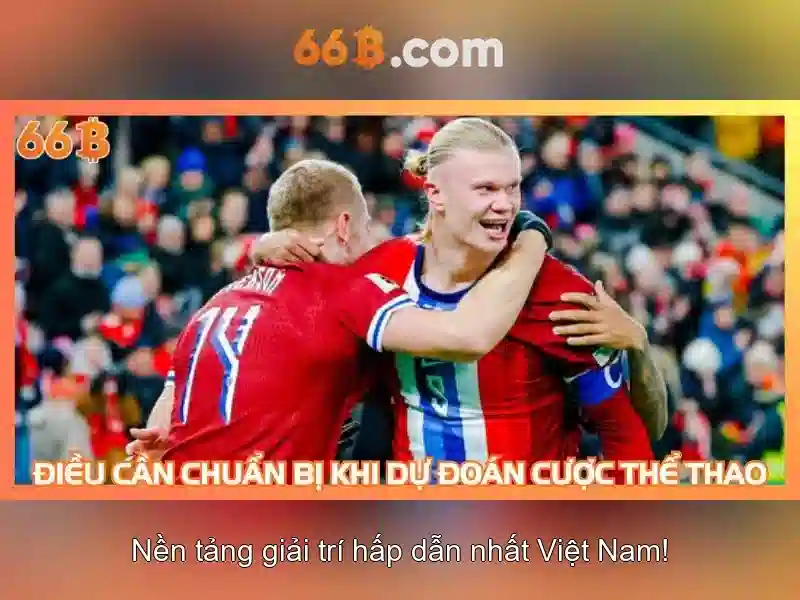66b: một khía cạnh của công nghệ và văn hóa số
