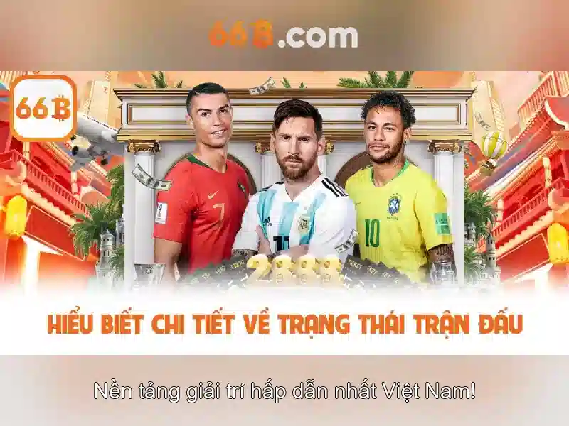 66B là gì và những điều cần biết
