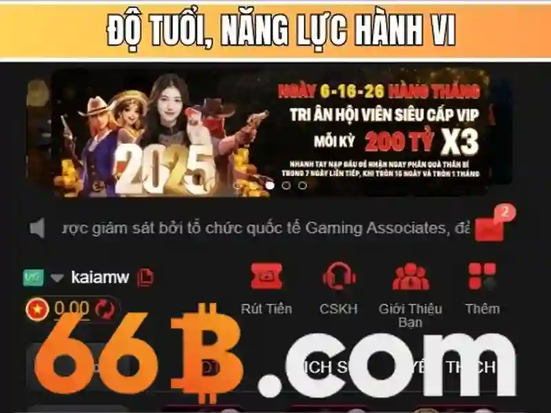 66b: một con số và những lớp ý nghĩa