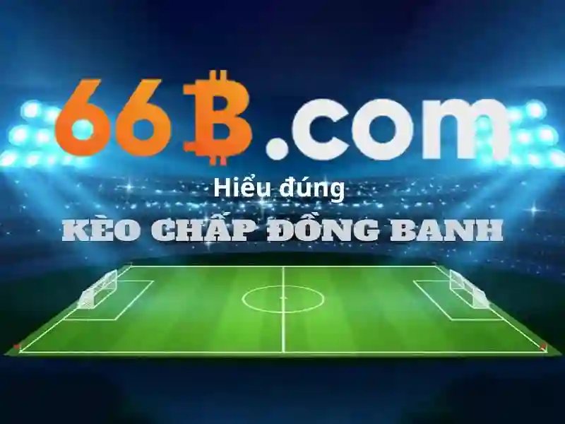 66b: khái niệm và ảnh hưởng công nghệ