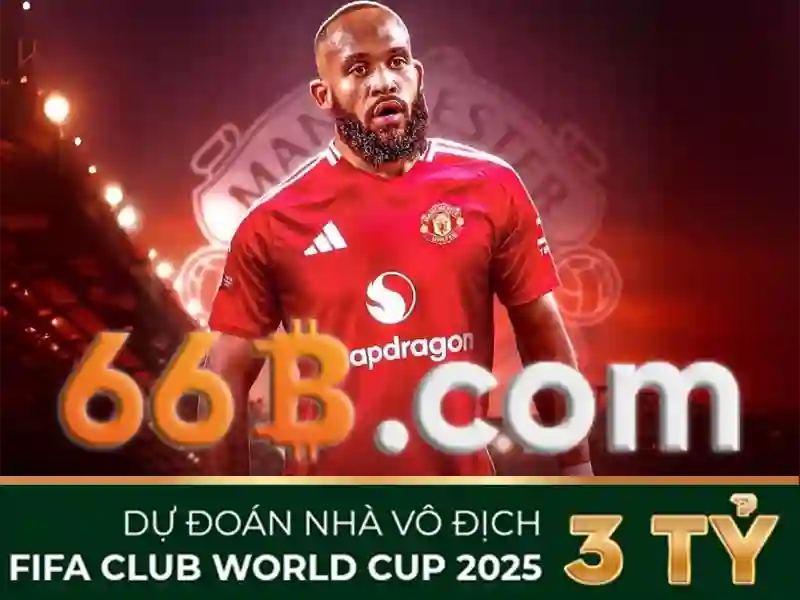 liên hệ 66b: kết nối và trải nghiệm dịch vụ tuyệt hảo