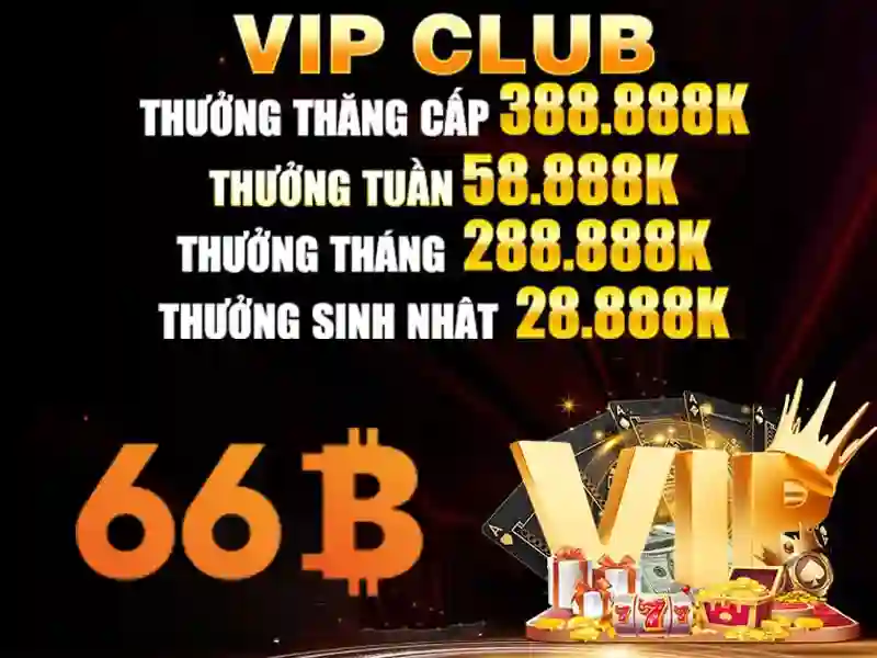 Mô hình 66B: Tổng quan